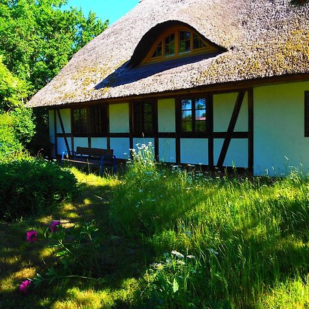 Eulenhof Vorpommern Rossin Экстерьер фото
